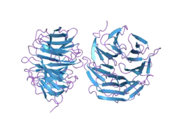 2h68: Histone H3 recognition and presentation by the WDR5 module of the MLL1 complex