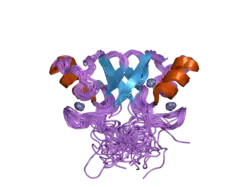 2hdp: Solution Structure of Hdm2 RING Finger Domain