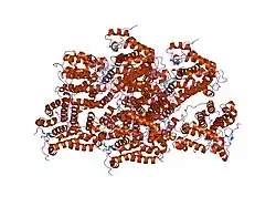 2hv7: Crystal structure of phosphotyrosyl phosphatase activator bound to ATPgammaS