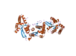 2hww: Structure of PIN domain of human SMG6
