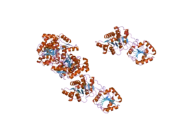 2hxy: Crystal structure of human apo-eIF4AIII