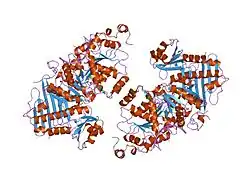 2hyi: Structure of the human exon junction complex with a trapped DEAD-box helicase bound to RNA