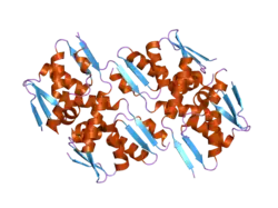 2ihc: Crystal structure of the bric-a-brac (BTB) domain of human BACH1