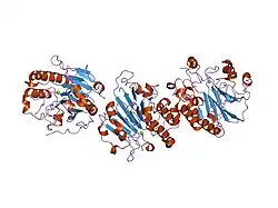 2isi: Crystal structure of Ape1 from Homo sapiens in a new crystal form complexed with a ligand