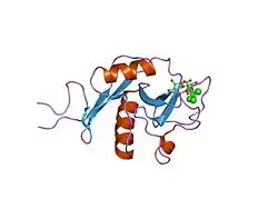 2it6: Crystal Structure of DCSIGN-CRD with man2