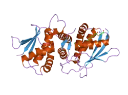 2j3r: THE CRYSTAL STRUCTURE OF THE BET3-TRS31 HETERODIMER.