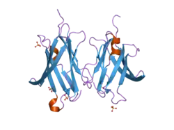 2jhw: CRYSTAL STRUCTURE OF RHOGDI E155A, E157A MUTANT