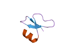 2nls: Human beta-defensin-1 (Mutant Gln24Ala)