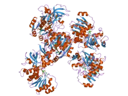 2oby: Crystal structure of Human P53 inducible oxidoreductase (TP53I3,PIG3)