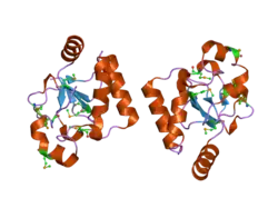 2ogb: Crystal structure of the C-terminal domain of mouse Nrdp1