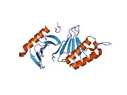 2ojx: Molecular and structural basis of polo-like kinase 1 substrate recognition: Implications in centrosomal localization