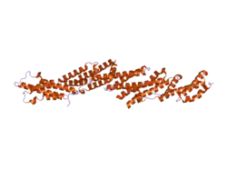 2pft: The Crystal Structure of Mouse Exo70 Reveals Unique Features of the Mammalian Exocyst