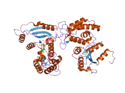 2pgl: Catalysis associated conformational changes revealed by human CD38 complexed with a non-hydrolyzable substrate analog