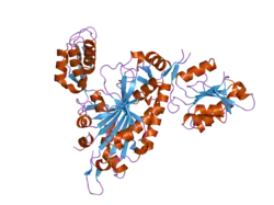 2pme: The Apo crystal Structure of the glycyl-tRNA synthetase