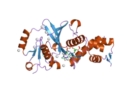 2pq8: MYST histone acetyltransferase 1