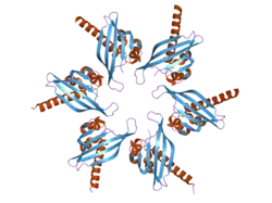 2ux0: STRUCTURE OF THE OLIGOMERISATION DOMAIN OF CALCIUM-CALMODULIN DEPENDENT PROTEIN KINASE II GAMMA