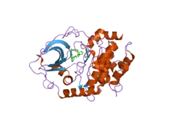 2uzv: PKA STRUCTURES OF INDAZOLE-PYRIDINE SERIES OF AKT INHIBITORS