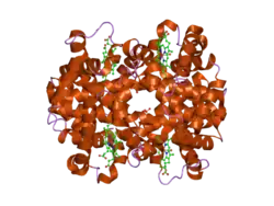 3d17: A triply ligated crystal structure of relaxed state human hemoglobin
