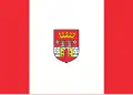 Flag of Będzin