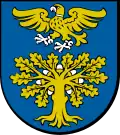 Coat of arms of Sokołów Małopolski