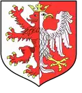 Łęczyca County