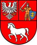 Łosice County