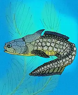 Palaeacanthaspis vasta