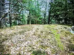 Upper part of the old Stoerenburg Castle