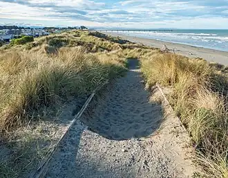 Path on the dunes on the South New Brighton Beach with the New Brighton Pier in the distance