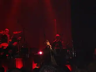 The Beautiful South performing in 2006