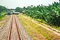 The former branch line railbed to Port of Bojanegara (right)