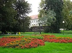 Greenery in the city park