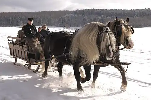 Two horses pulling a large sleigh in the snow