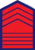 Police Senior master sergeant (P/SMSg) Philippine National Police