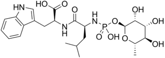 Skeletal formula of phosphoramidon