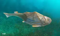 Phymolepis cuifengshanensis