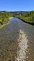 Piedra River just above Navajo Lake, below Colorado Highway 151