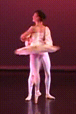 Partnered pirouettes