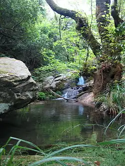 Mt.Pelion is covered in forest