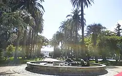 Central alley of palm trees and fountain in the foreground