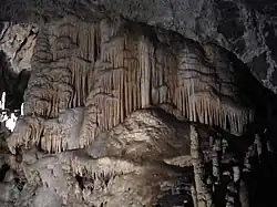 A formation of stalagmites deep underground in Postojna Cave
