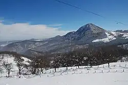 Tops of Great, Middle and Small Povlen