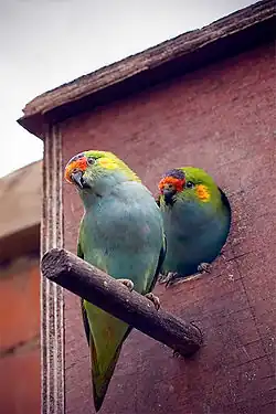 At Rainbow Jungle, Kalbarri, Western Australia