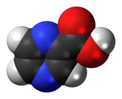 Space-filling model of the pyrazinoic acid molecule