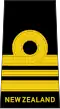 Lieutenant commander