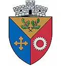 Coat of arms of Schitu Golești