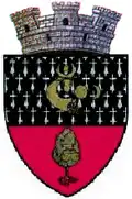 Coat of arms of Dolhasca