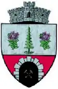 Coat of arms of Șaru Dornei