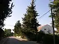 Street in Ramot Naftali