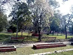 View of Garden